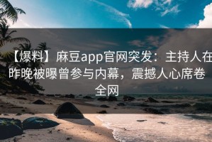 【爆料】麻豆app官网突发：主持人在昨晚被曝曾参与内幕，震撼人心席卷全网