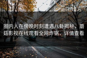 圈内人在傍晚时刻遭遇八卦揭秘，蘑菇影视在线观看全网炸锅，详情查看