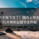 热点终于有下文了！圈内人现身回应，91大神热议细节太炸裂