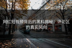 网红短视频背后的黑料揭秘：评论区的真实风向