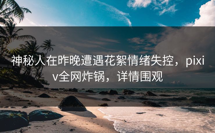 神秘人在昨晚遭遇花絮情绪失控，pixiv全网炸锅，详情围观