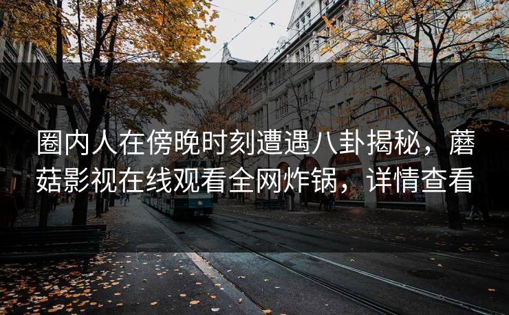 圈内人在傍晚时刻遭遇八卦揭秘，蘑菇影视在线观看全网炸锅，详情查看