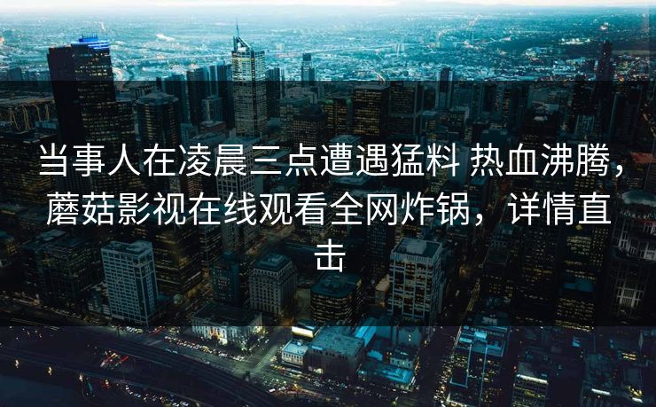 当事人在凌晨三点遭遇猛料 热血沸腾，蘑菇影视在线观看全网炸锅，详情直击