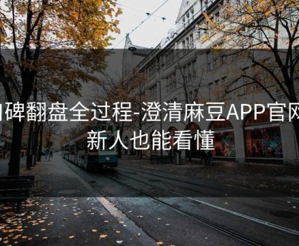 口碑翻盘全过程-澄清麻豆APP官网｜新人也能看懂